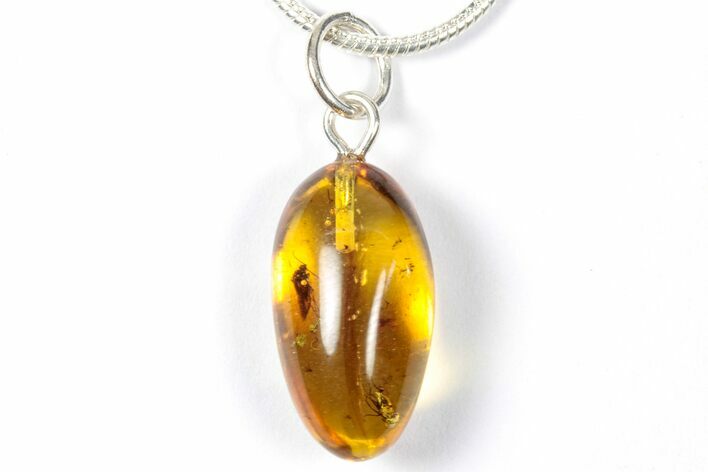 Polished Baltic Amber Pendant (Necklace) - Contains Moth & Fly! #357944